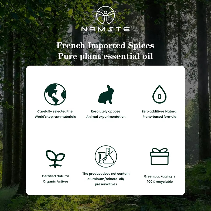 NAMSTE 100ML Oil Diffuser Esse - огляд і ціна Home Fragrance Logo